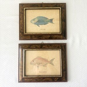 Vintage Italian Fish Prints Set Parrotfish & Red Snapper Burl Wood Frames 1987